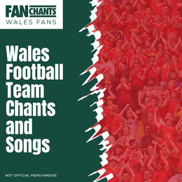 Wales Football Team