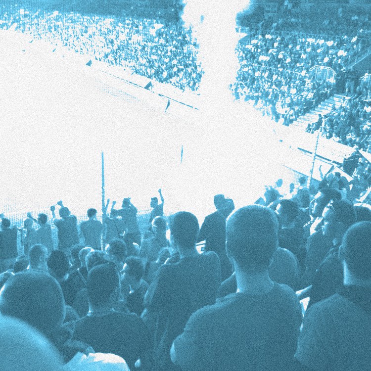 Portland Phoenix team image