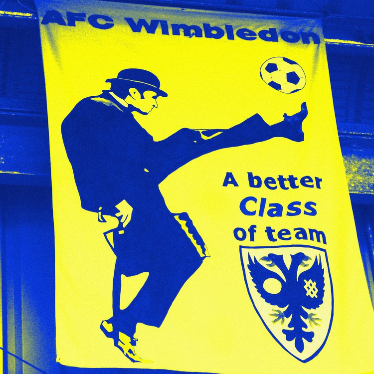 AFC Wimbledon teamafbeelding