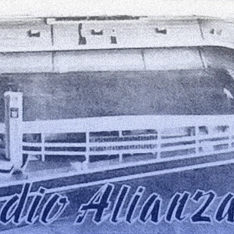 Alianza Lima صورة الفريق