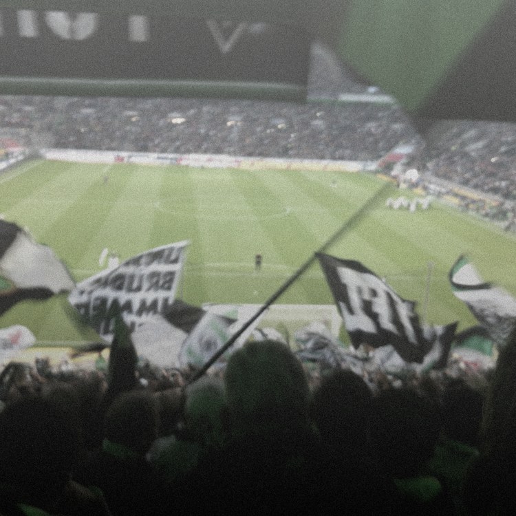 Borussia Mönchengladbach imagen del equipo