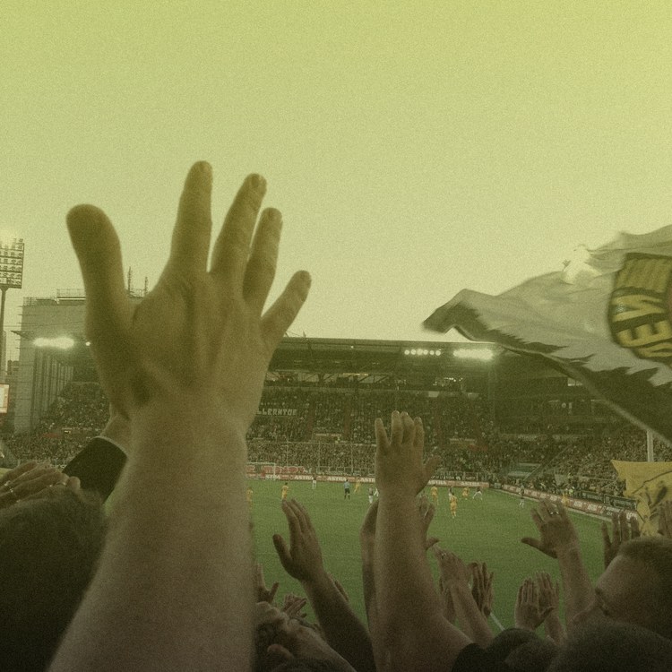Dynamo Dresden team image
