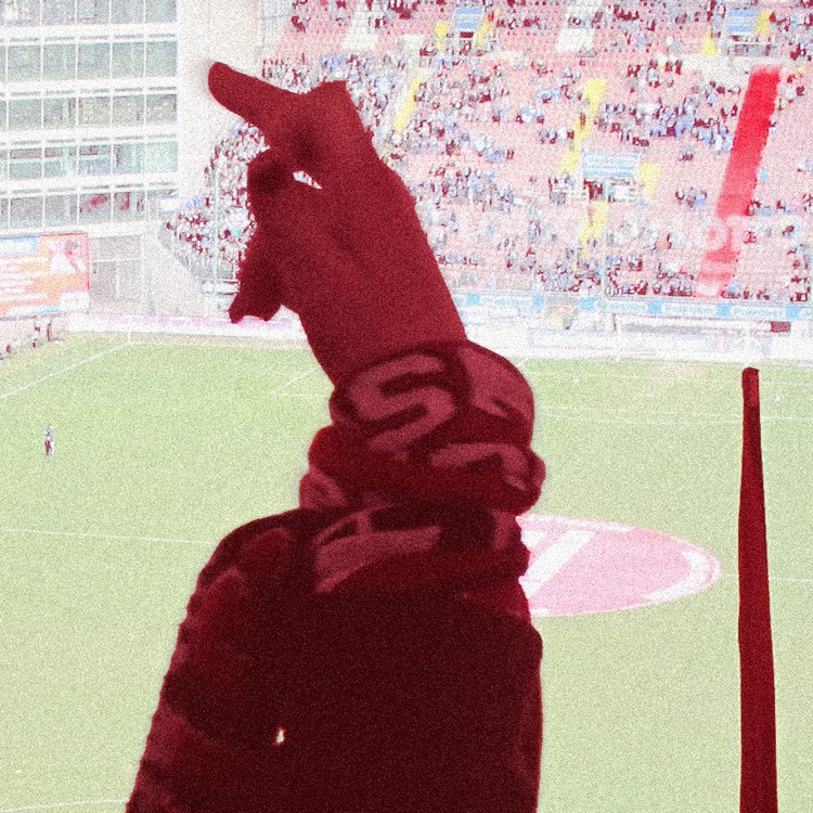 Kaiserslautern Teambild