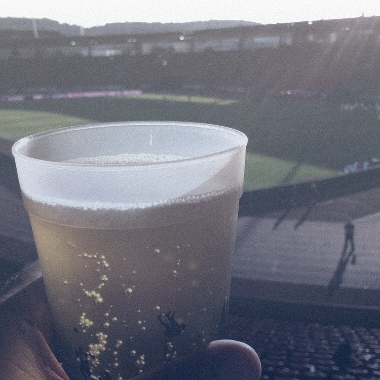 FC Zürich týmový obrázek
