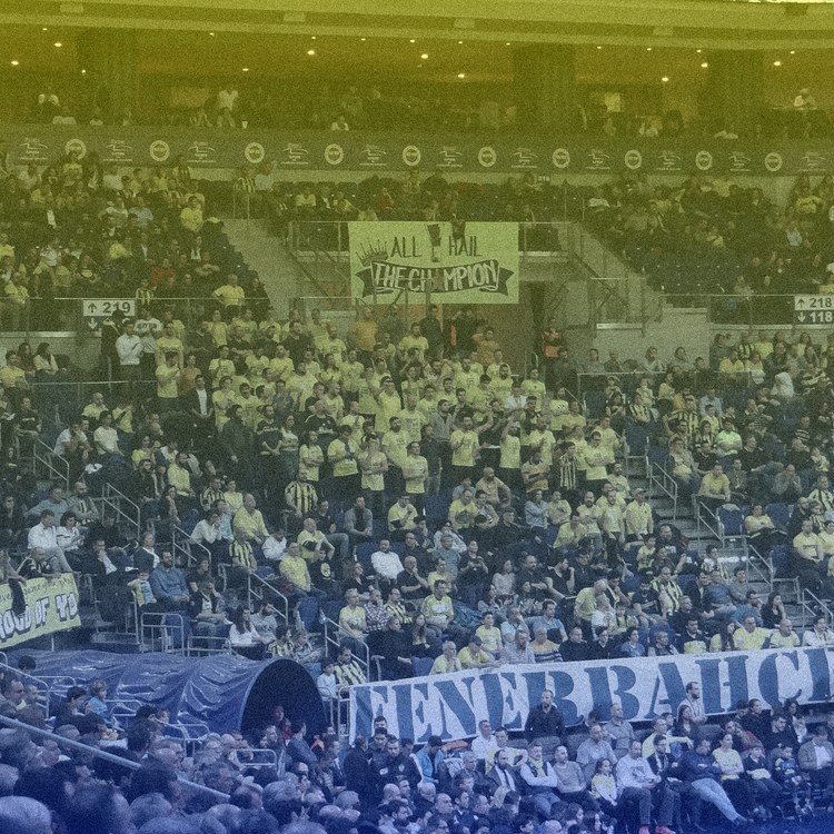 Image de l'équipe Fenerbahçe