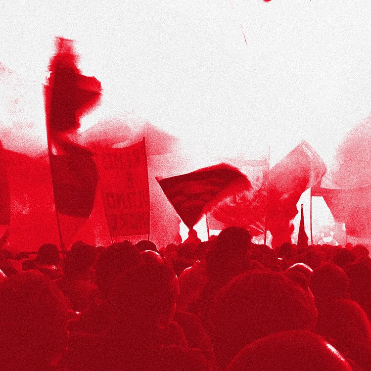 Feyenoord immagine della squadra