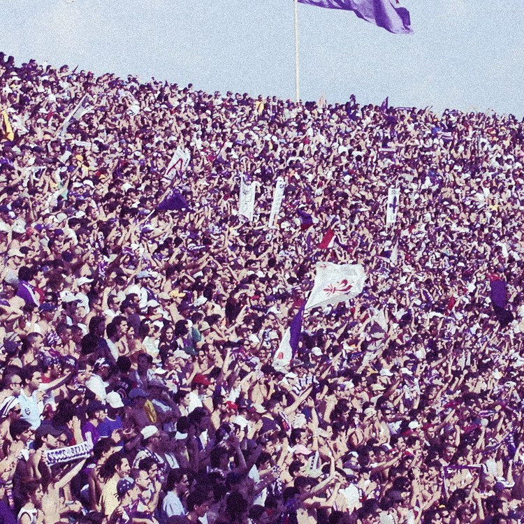 Fiorentina รูปภาพของทีม