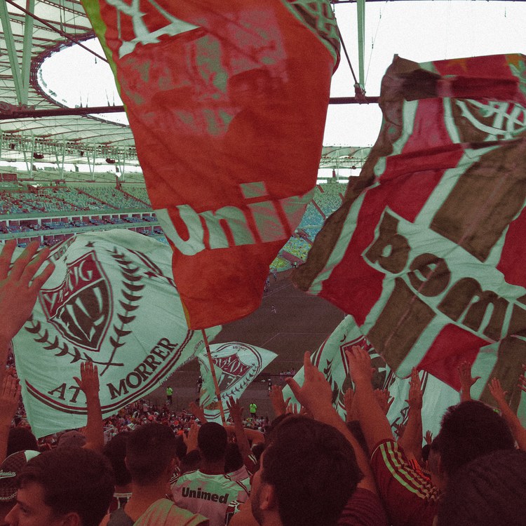 Fluminense imagen del equipo