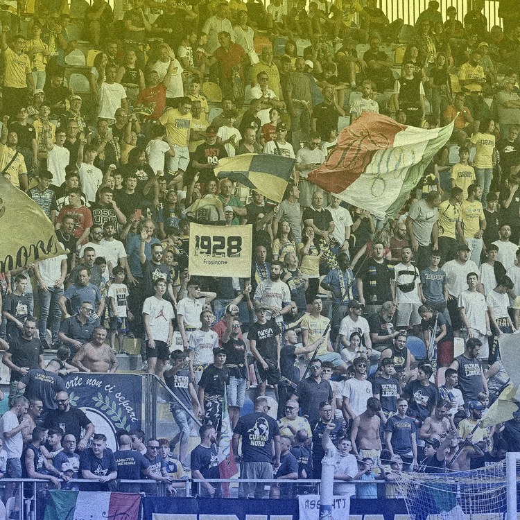 Frosinone immagine della squadra
