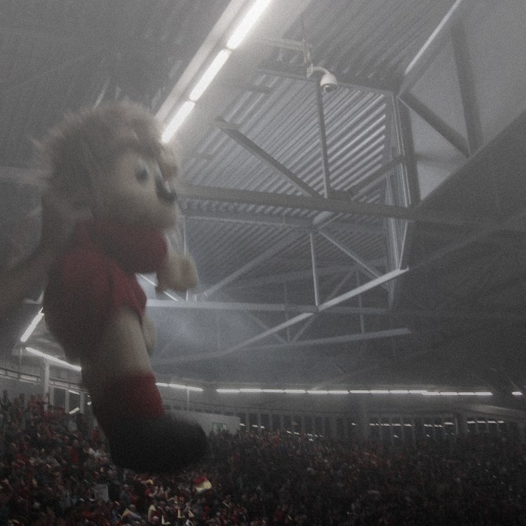 Deutschland team image