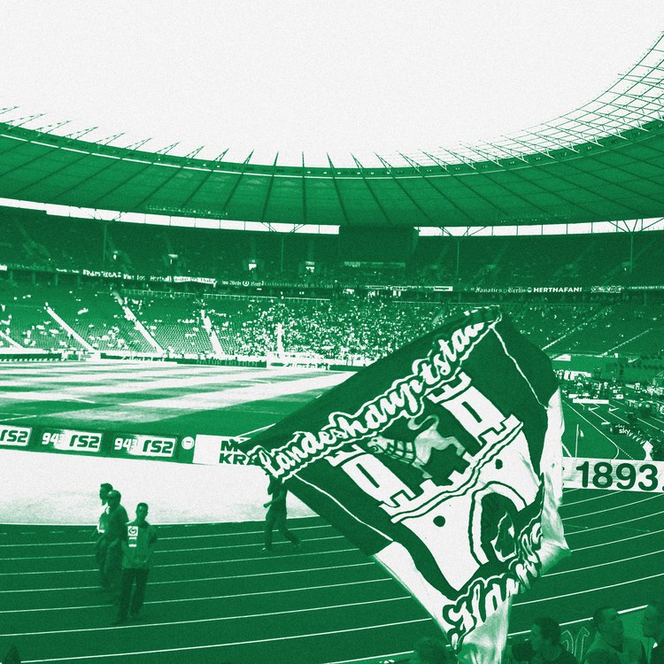 Hannover รูปภาพของทีม