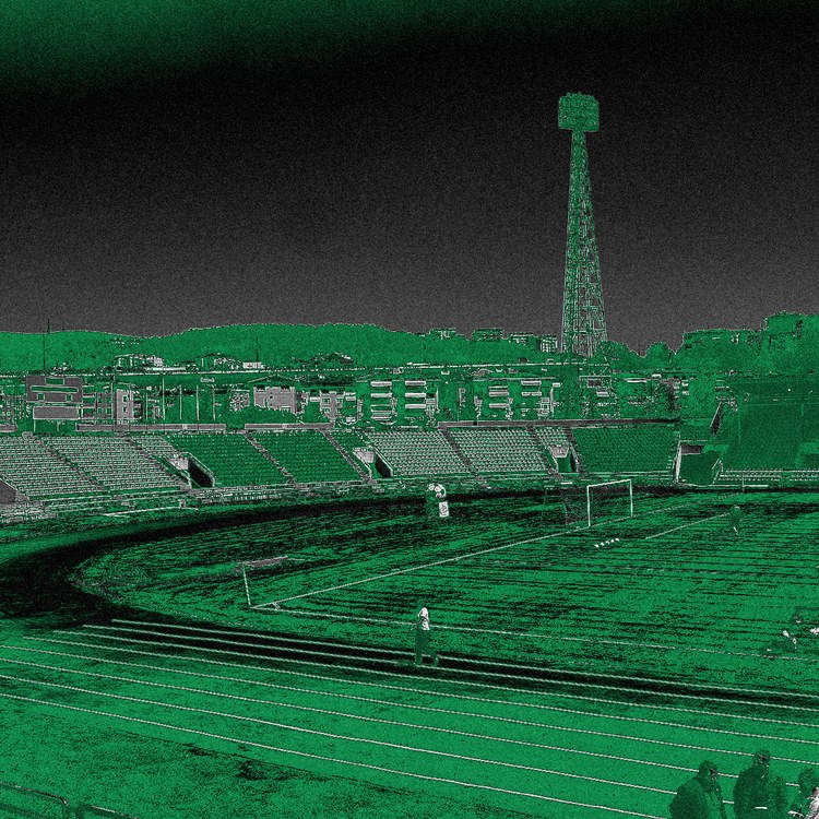 Adım Adım Gidiyoruz Zafere album cover