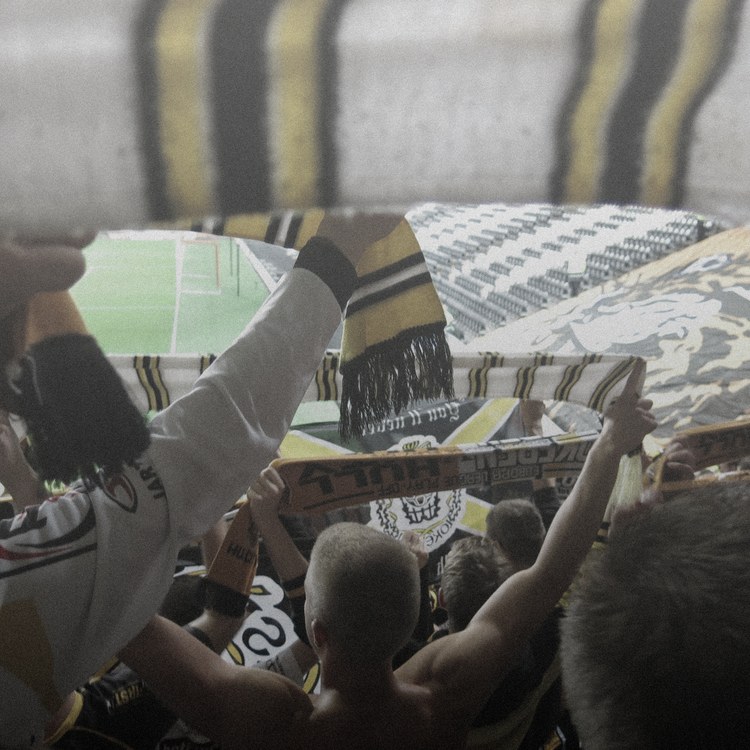Lokeren imagen del equipo
