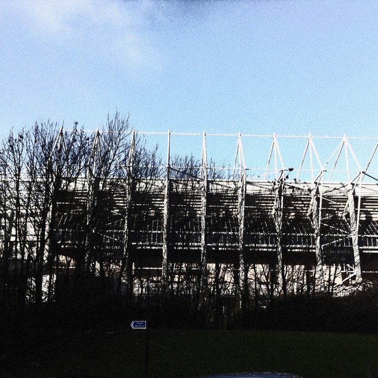 Newcastle รูปภาพของทีม