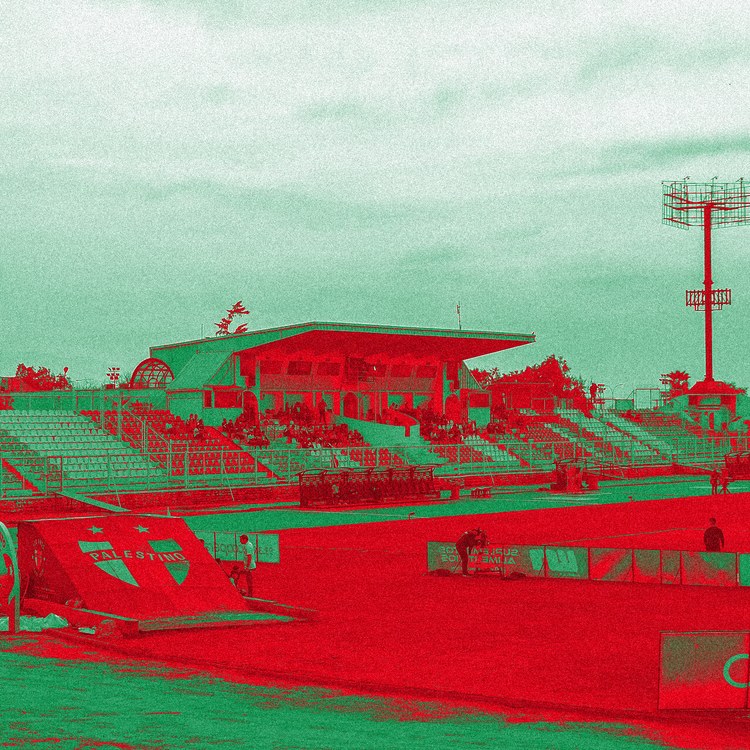 Palestino team image