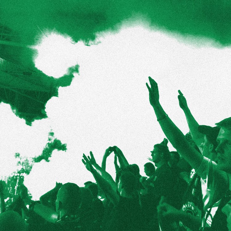 Palmeiras spanbeeld