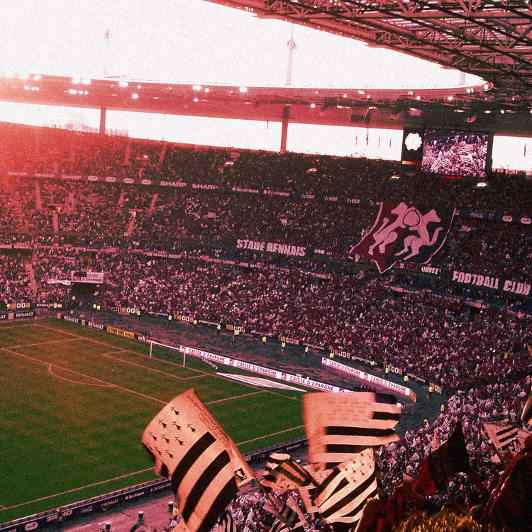 Image de l'équipe Stade rennais