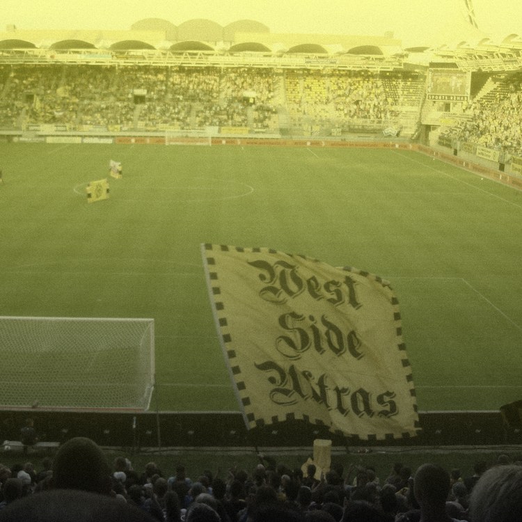 Roda JC صورة الفريق
