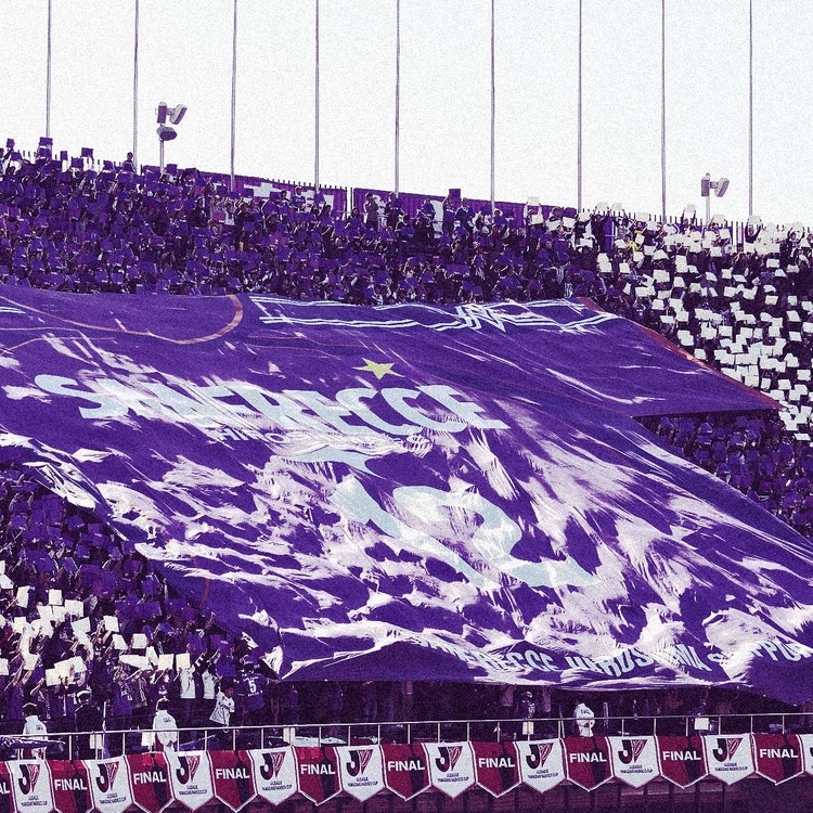 Sanfrecce Hiroshima صورة الفريق
