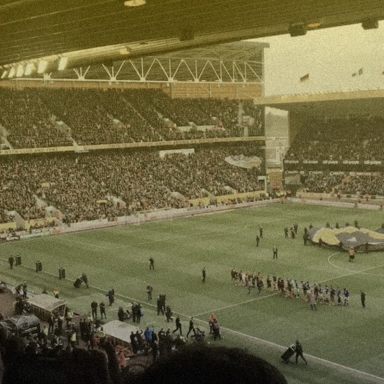 Wolves team image